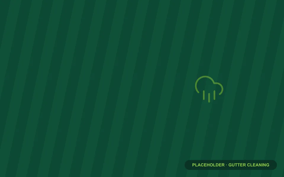 Gutter cleaning (placeholder)