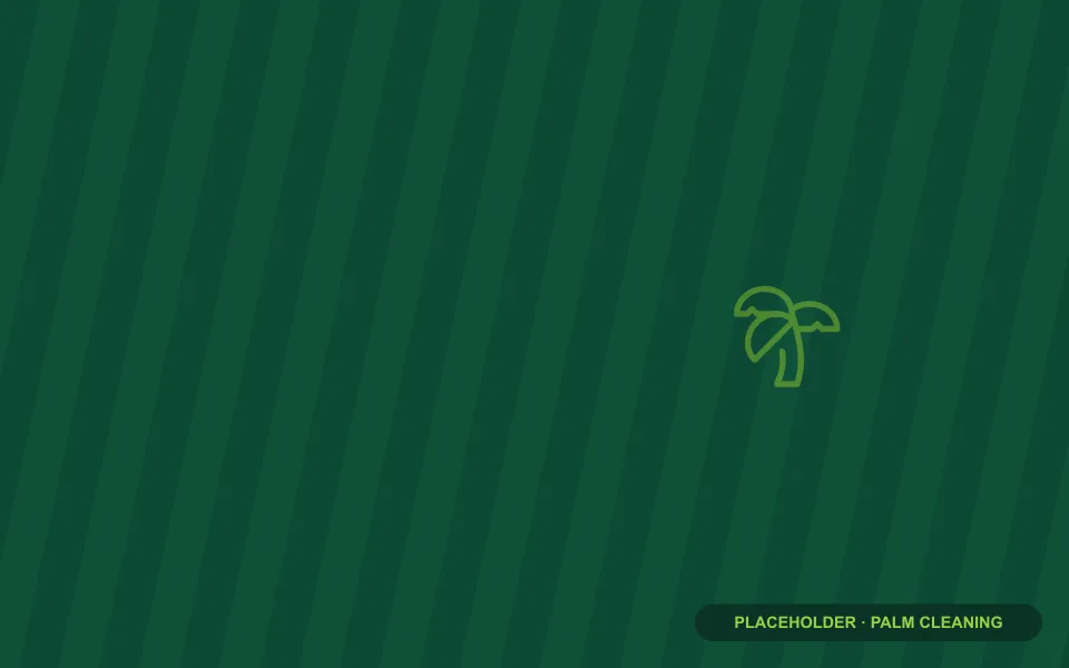 Palm cleaning (placeholder)