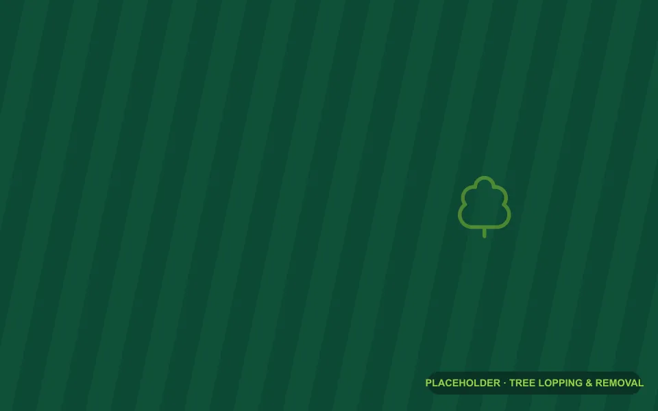 Tree lopping & removal (placeholder)